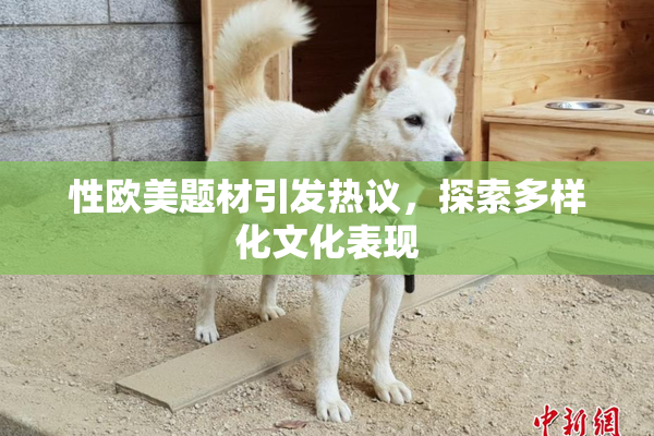 性欧美题材引发热议，探索多样化文化表现