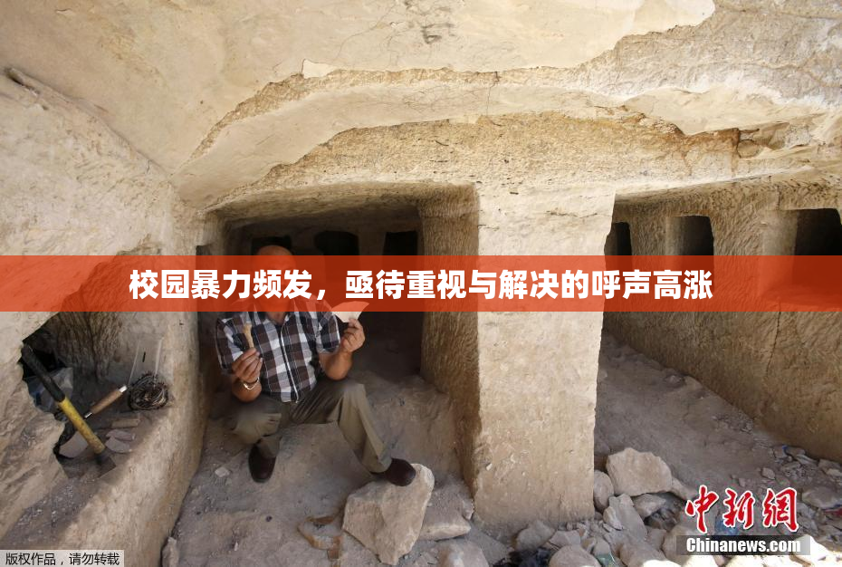 校园暴力频发，亟待重视与解决的呼声高涨