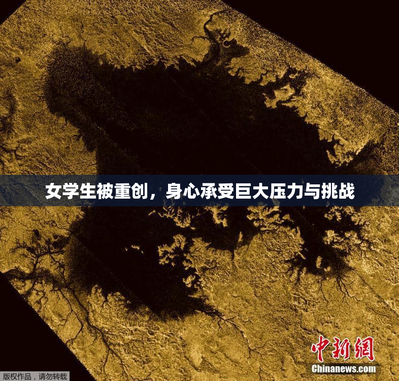 女学生被重创，身心承受巨大压力与挑战