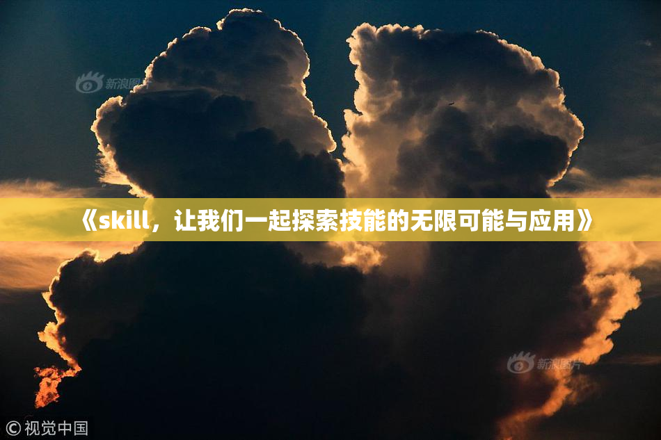 《skill，让我们一起探索技能的无限可能与应用》