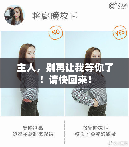 主人，别再让我等你了！请快回来！