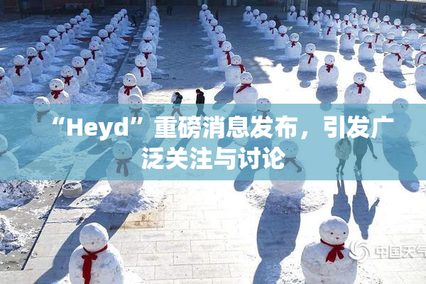 “Heyd”重磅消息发布，引发广泛关注与讨论