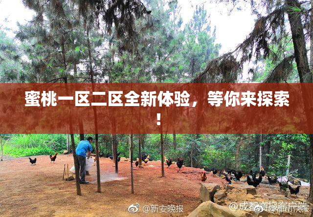 蜜桃一区二区全新体验，等你来探索！