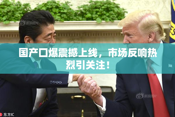 国产囗爆震撼上线，市场反响热烈引关注！