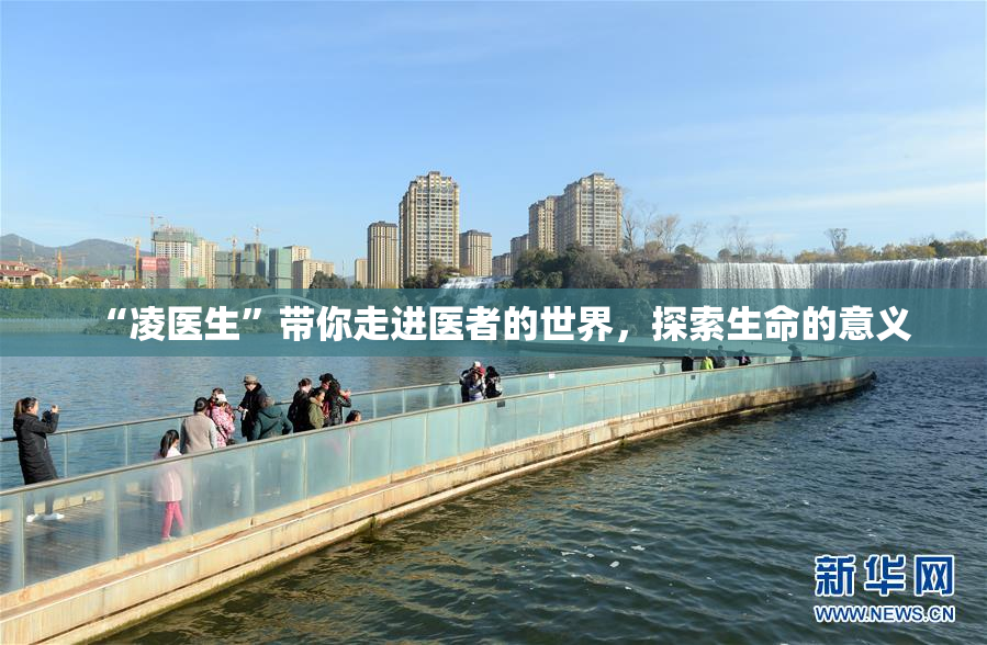 “凌医生”带你走进医者的世界，探索生命的意义