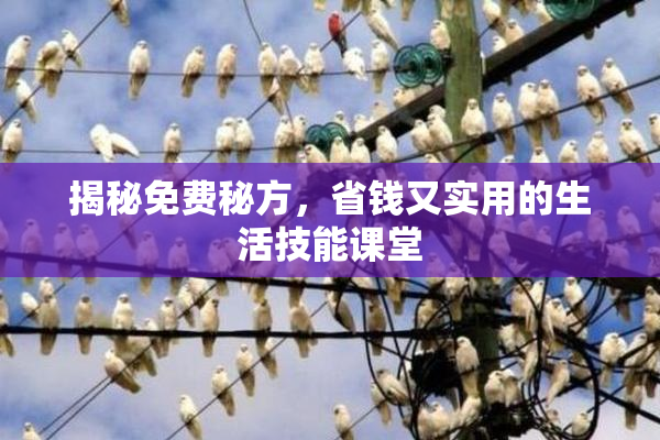 揭秘免费秘方，省钱又实用的生活技能课堂