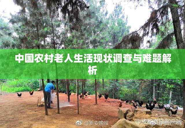中国农村老人生活现状调查与难题解析