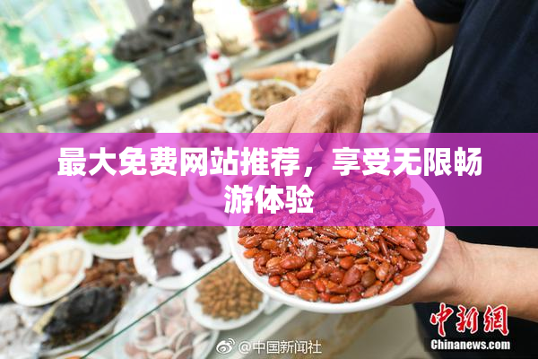 最大免费网站推荐，享受无限畅游体验