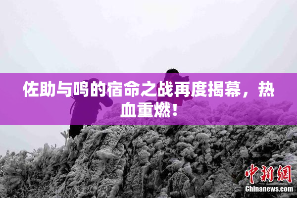 佐助与鸣的宿命之战再度揭幕，热血重燃！