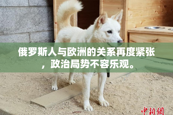 俄罗斯人与欧洲的关系再度紧张，政治局势不容乐观。