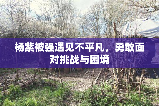 杨紫被强遇见不平凡，勇敢面对挑战与困境