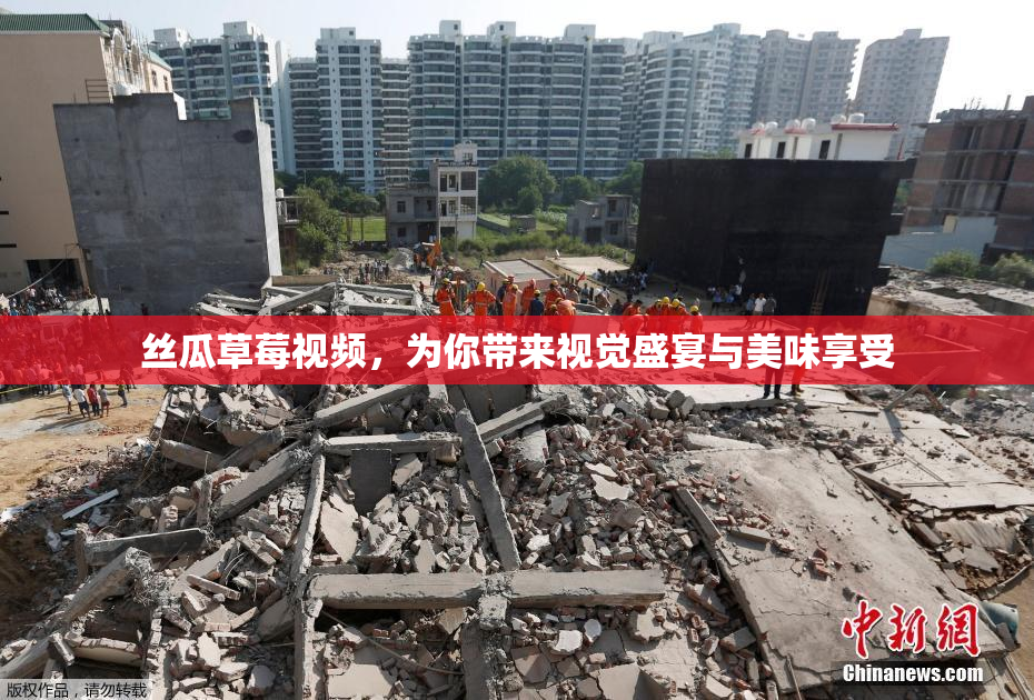 丝瓜草莓视频，为你带来视觉盛宴与美味享受