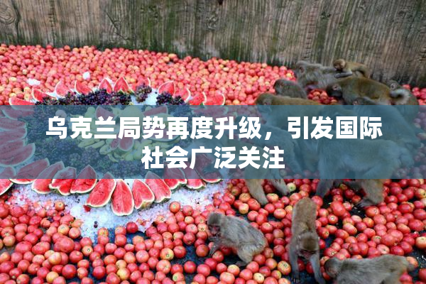 乌克兰局势再度升级，引发国际社会广泛关注