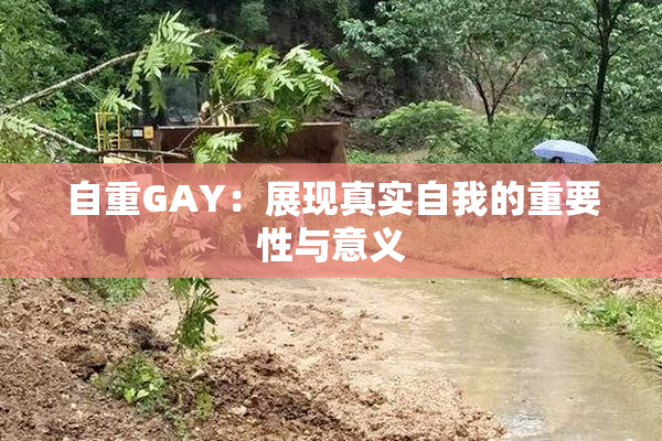 自重GAY：展现真实自我的重要性与意义