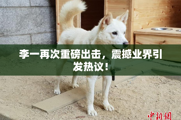 李一再次重磅出击，震撼业界引发热议！