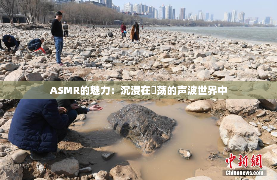 ASMR的魅力：沉浸在婬荡的声波世界中