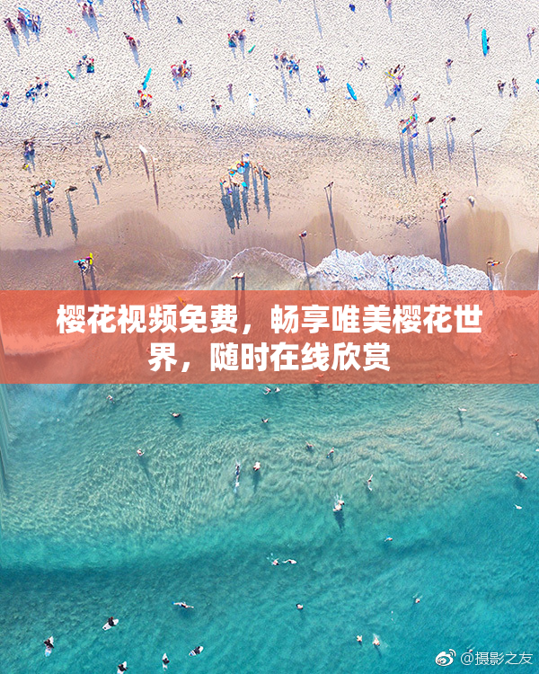 樱花视频免费，畅享唯美樱花世界，随时在线欣赏