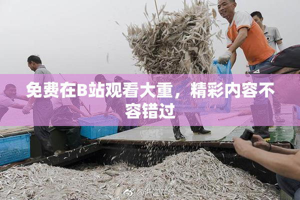 免费在B站观看大重，精彩内容不容错过