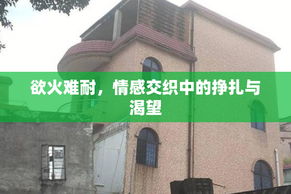 欲火难耐，情感交织中的挣扎与渴望