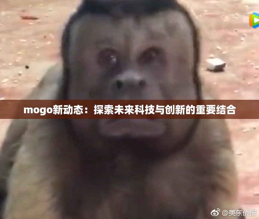 mogo新动态：探索未来科技与创新的重要结合