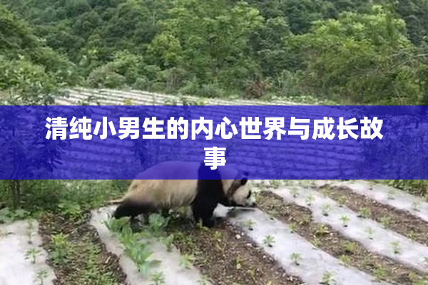 清纯小男生的内心世界与成长故事