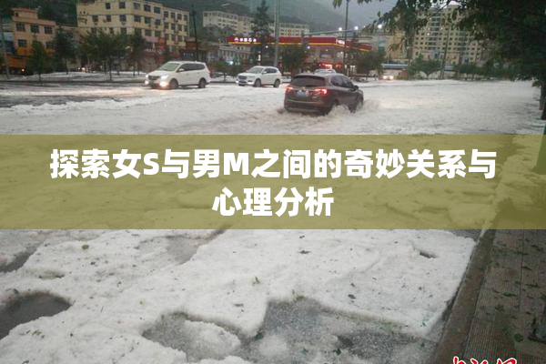 探索女S与男M之间的奇妙关系与心理分析