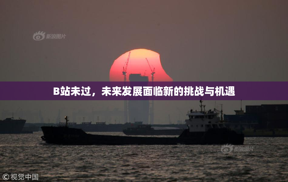 B站未过，未来发展面临新的挑战与机遇