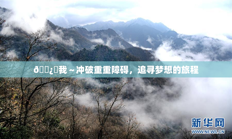 🌿‌我～冲破重重障碍，追寻梦想的旅程