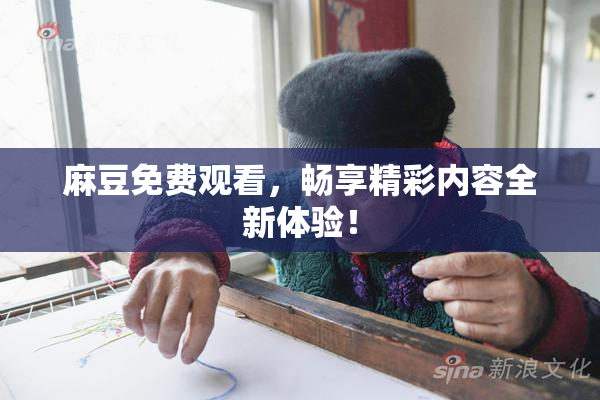 麻豆免费观看，畅享精彩内容全新体验！