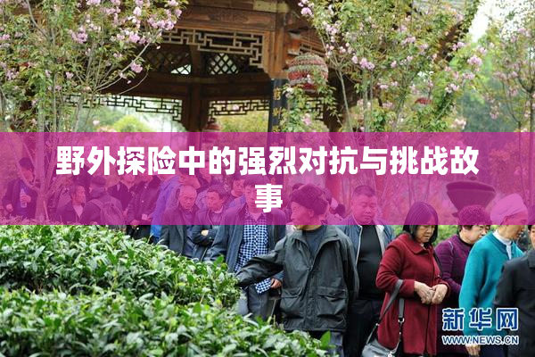 野外探险中的强烈对抗与挑战故事