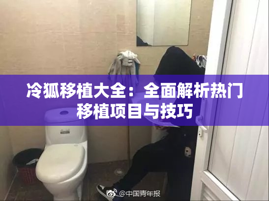 冷狐移植大全：全面解析热门移植项目与技巧