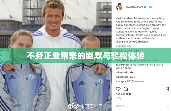 不务正业带来的幽默与轻松体验