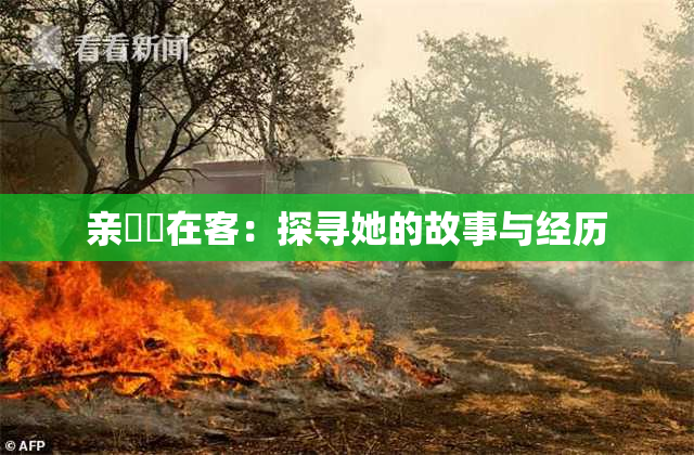 亲妺妺在客：探寻她的故事与经历