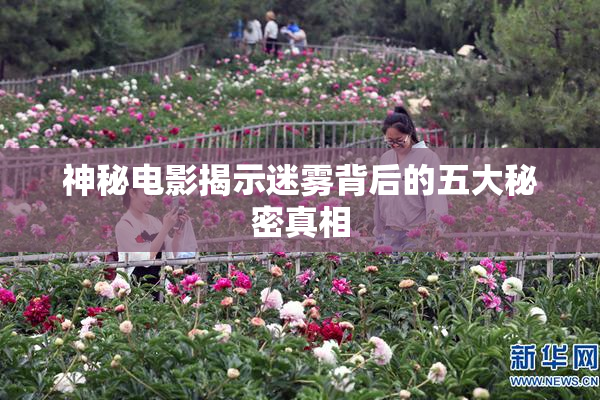 神秘电影揭示迷雾背后的五大秘密真相