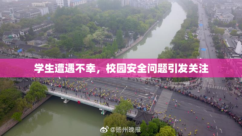 学生遭遇不幸，校园安全问题引发关注