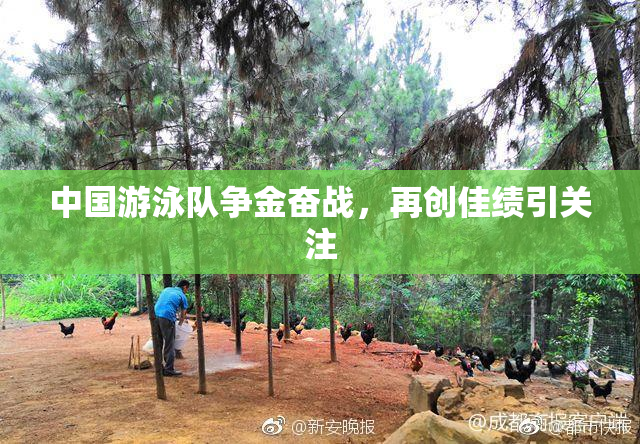 中国游泳队争金奋战，再创佳绩引关注