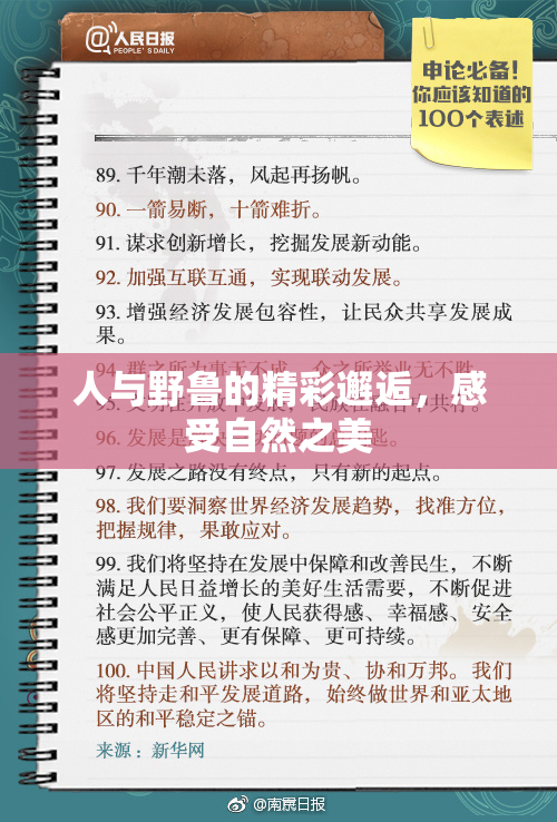 人与野鲁的精彩邂逅，感受自然之美