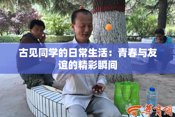 古见同学的日常生活：青春与友谊的精彩瞬间