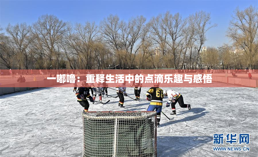 一嘟噜：重释生活中的点滴乐趣与感悟