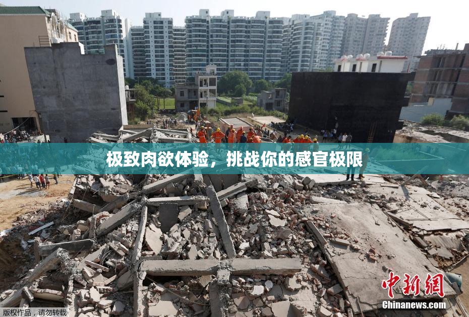 极致肉欲体验，挑战你的感官极限