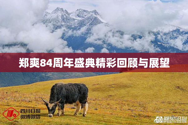 郑爽84周年盛典精彩回顾与展望