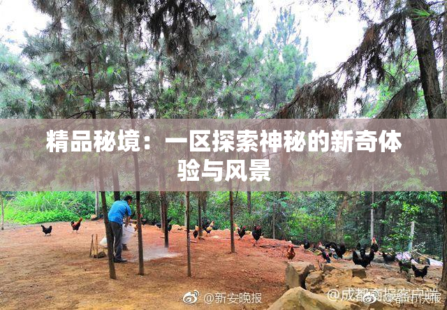 精品秘境：一区探索神秘的新奇体验与风景