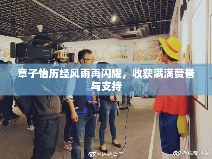 章子怡历经风雨再闪耀，收获满满赞誉与支持