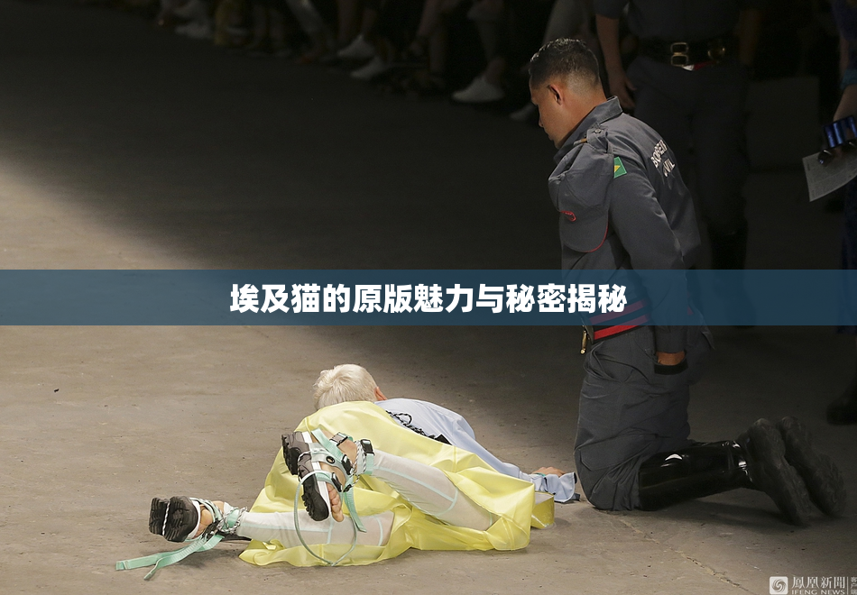 埃及猫的原版魅力与秘密揭秘