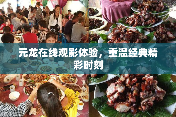 元龙在线观影体验，重温经典精彩时刻