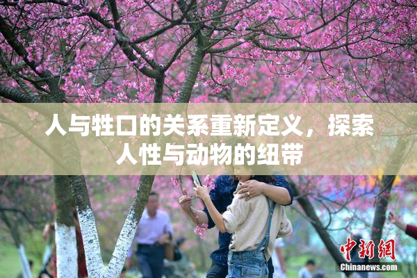 人与牲口的关系重新定义，探索人性与动物的纽带