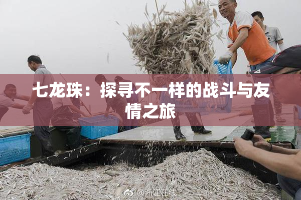 七龙珠：探寻不一样的战斗与友情之旅