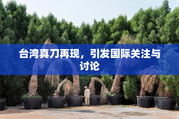 台湾真刀再现，引发国际关注与讨论