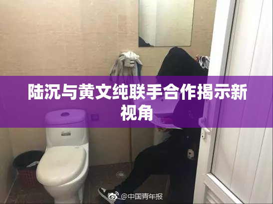 陆沉与黄文纯联手合作揭示新视角