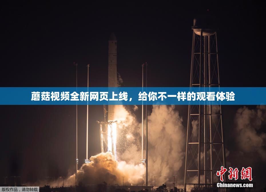 蘑菇视频全新网页上线，给你不一样的观看体验